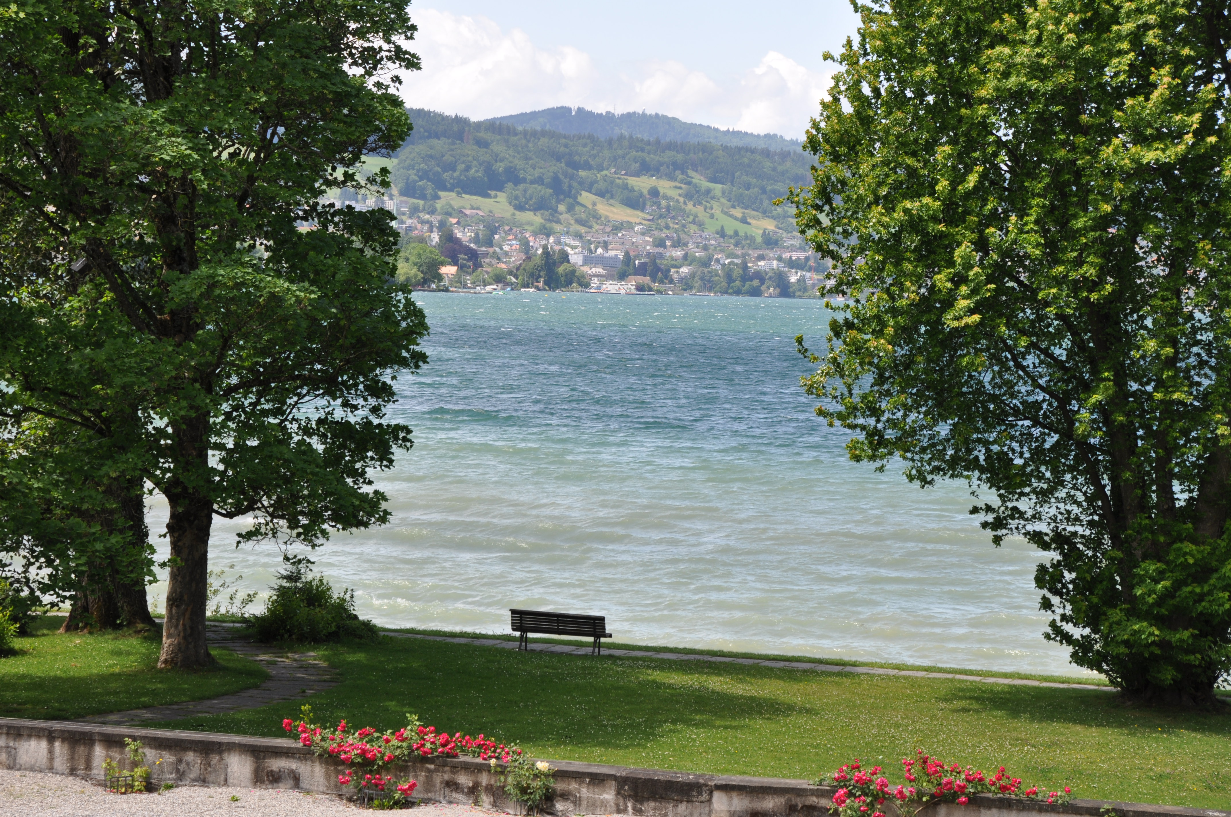 Panorama